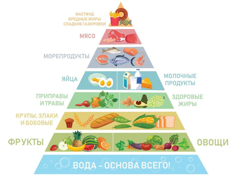 РУБРИКА: ГТО! Как выстроить режим питания.
